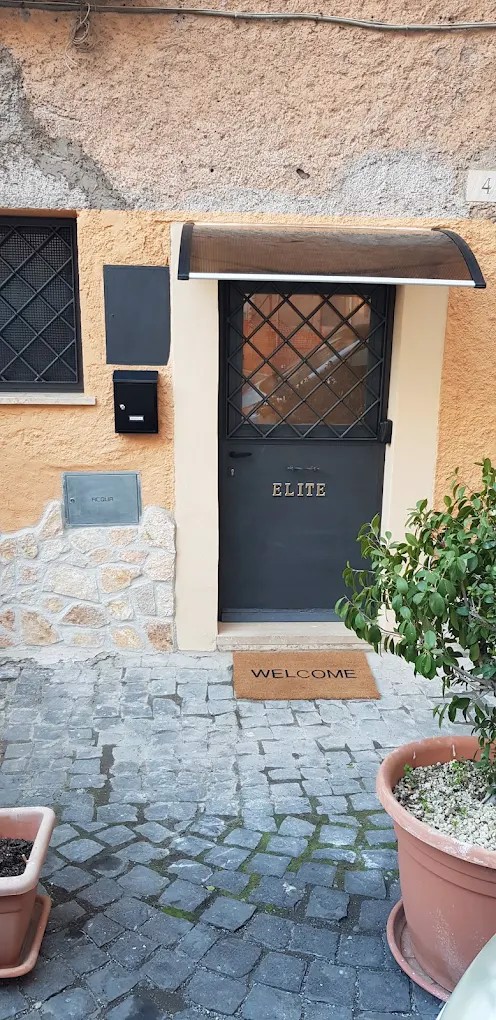 System.Collections.Generic.List`1[BluePillow.Application.SearchEngine.Dto.PhotoDto]?.ElementAt(0)?.Caption