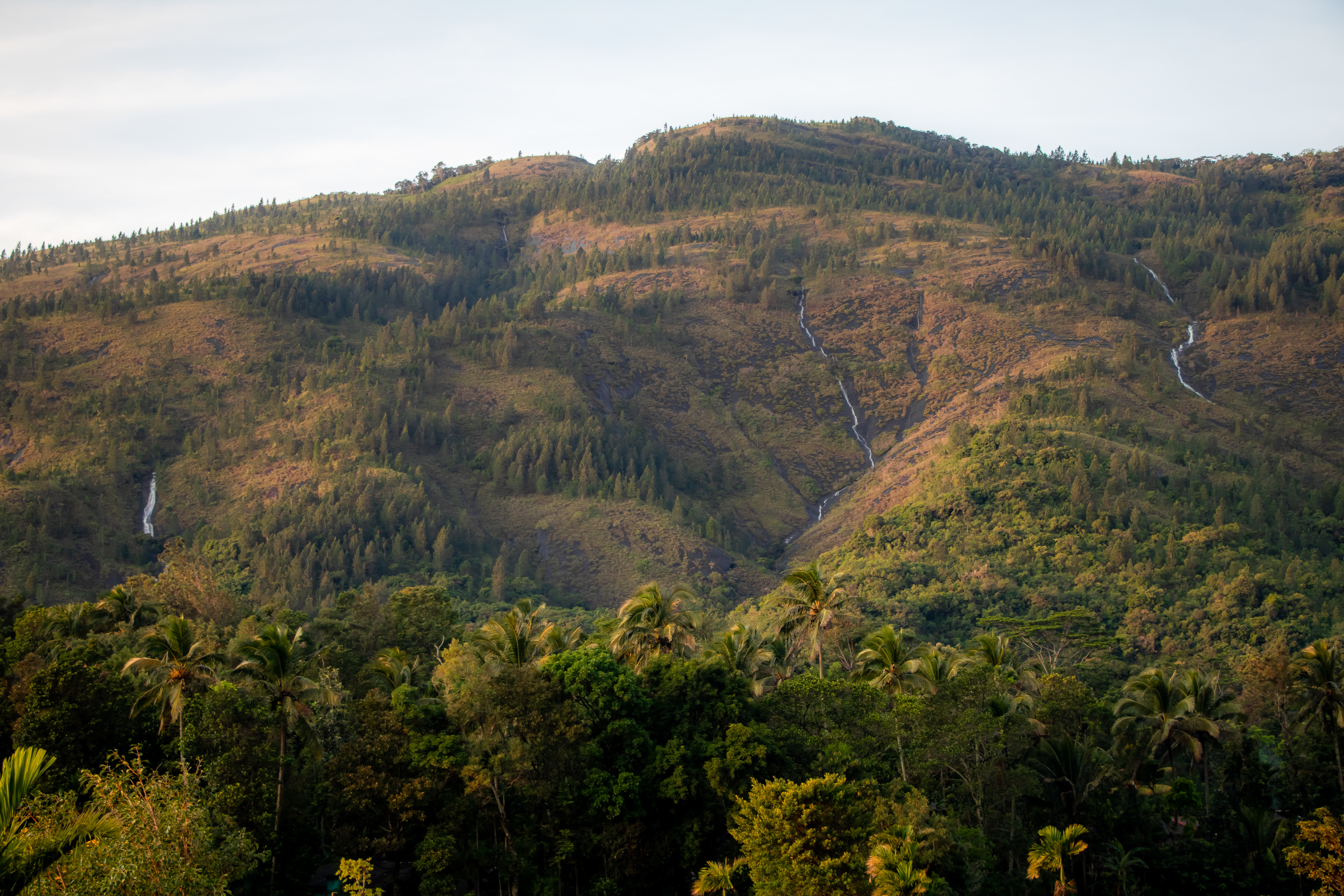 System.Collections.Generic.List`1[BluePillow.Application.SearchEngine.Dto.PhotoDto]?.ElementAt(3)?.Caption