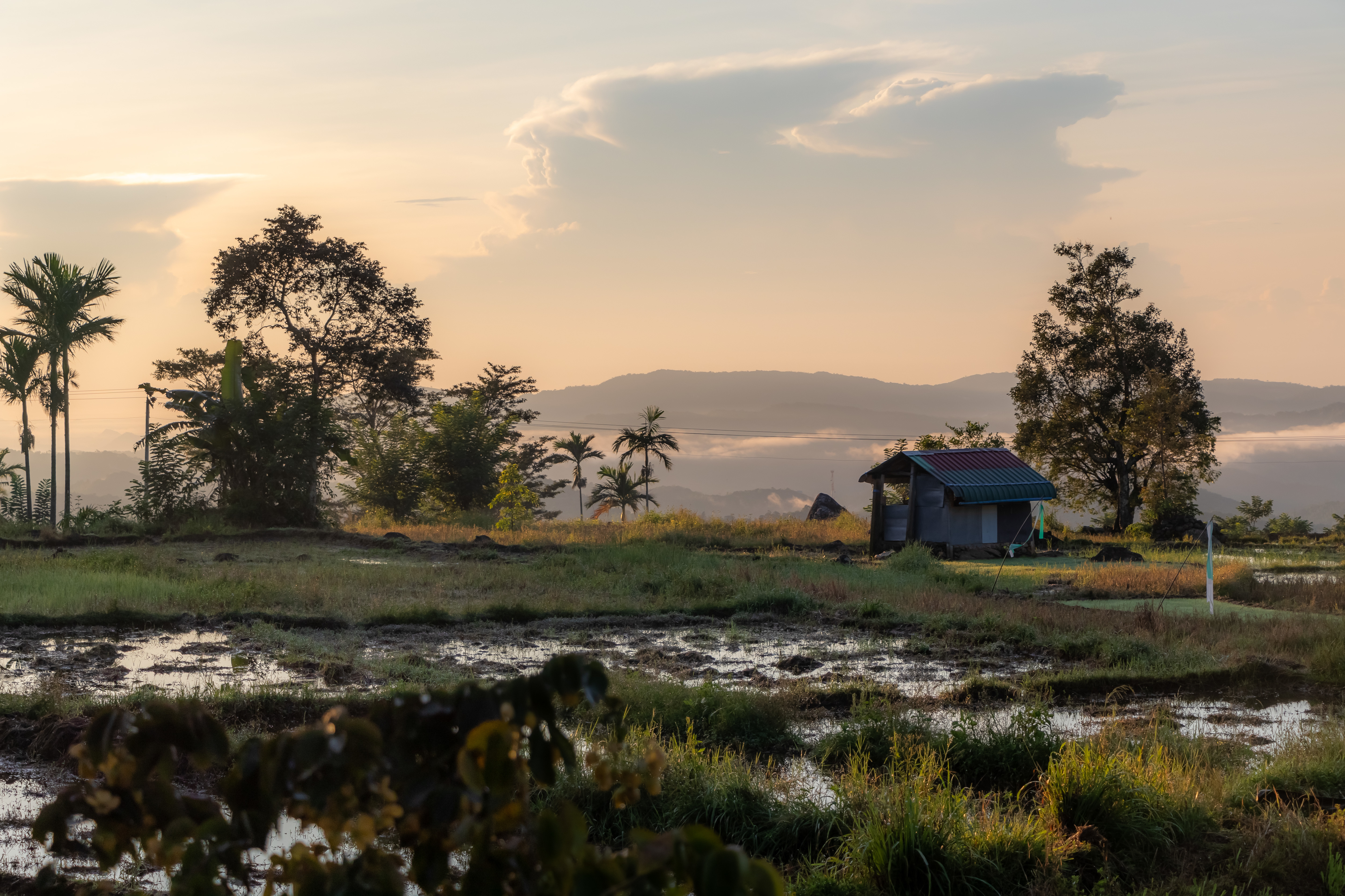 System.Collections.Generic.List`1[BluePillow.Application.SearchEngine.Dto.PhotoDto]?.ElementAt(2)?.Caption