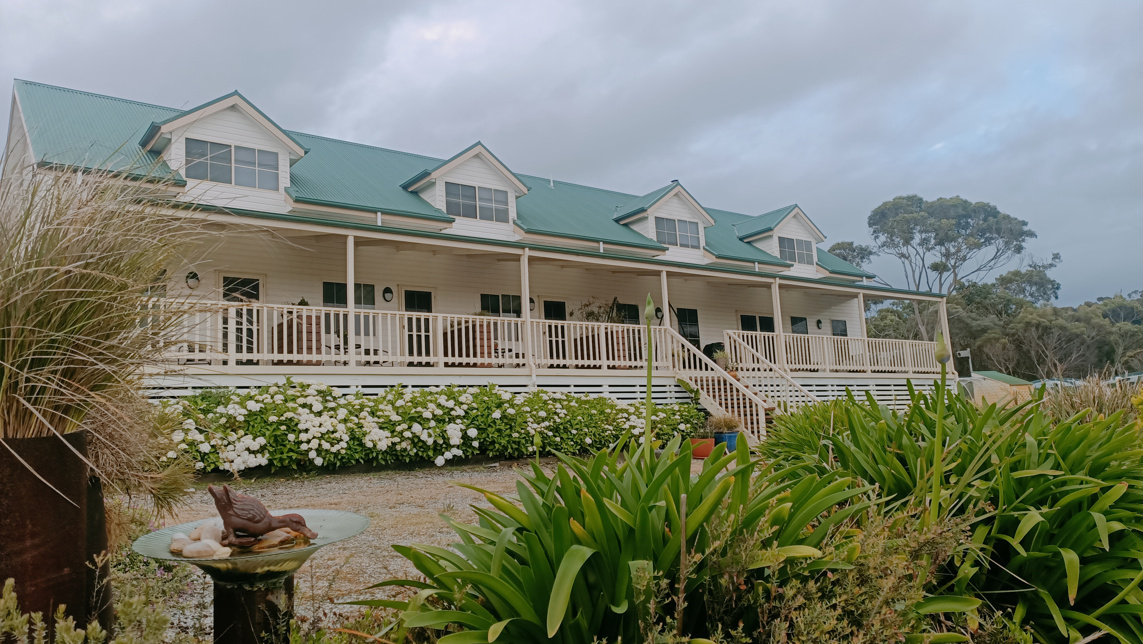 System.Collections.Generic.List`1[BluePillow.Application.SearchEngine.Dto.PhotoDto]?.ElementAt(1)?.Caption