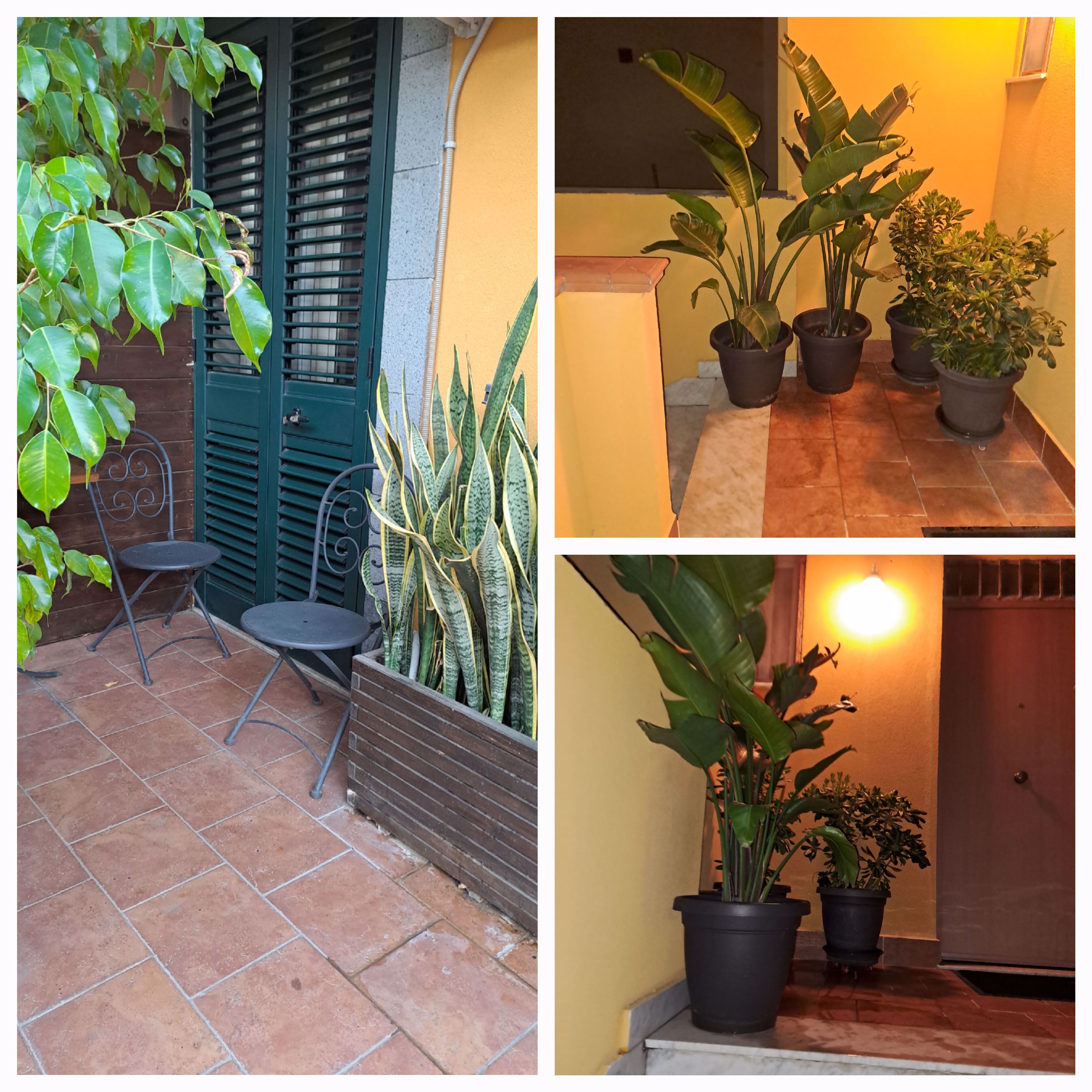 System.Collections.Generic.List`1[BluePillow.Application.SearchEngine.Dto.PhotoDto]?.ElementAt(3)?.Caption