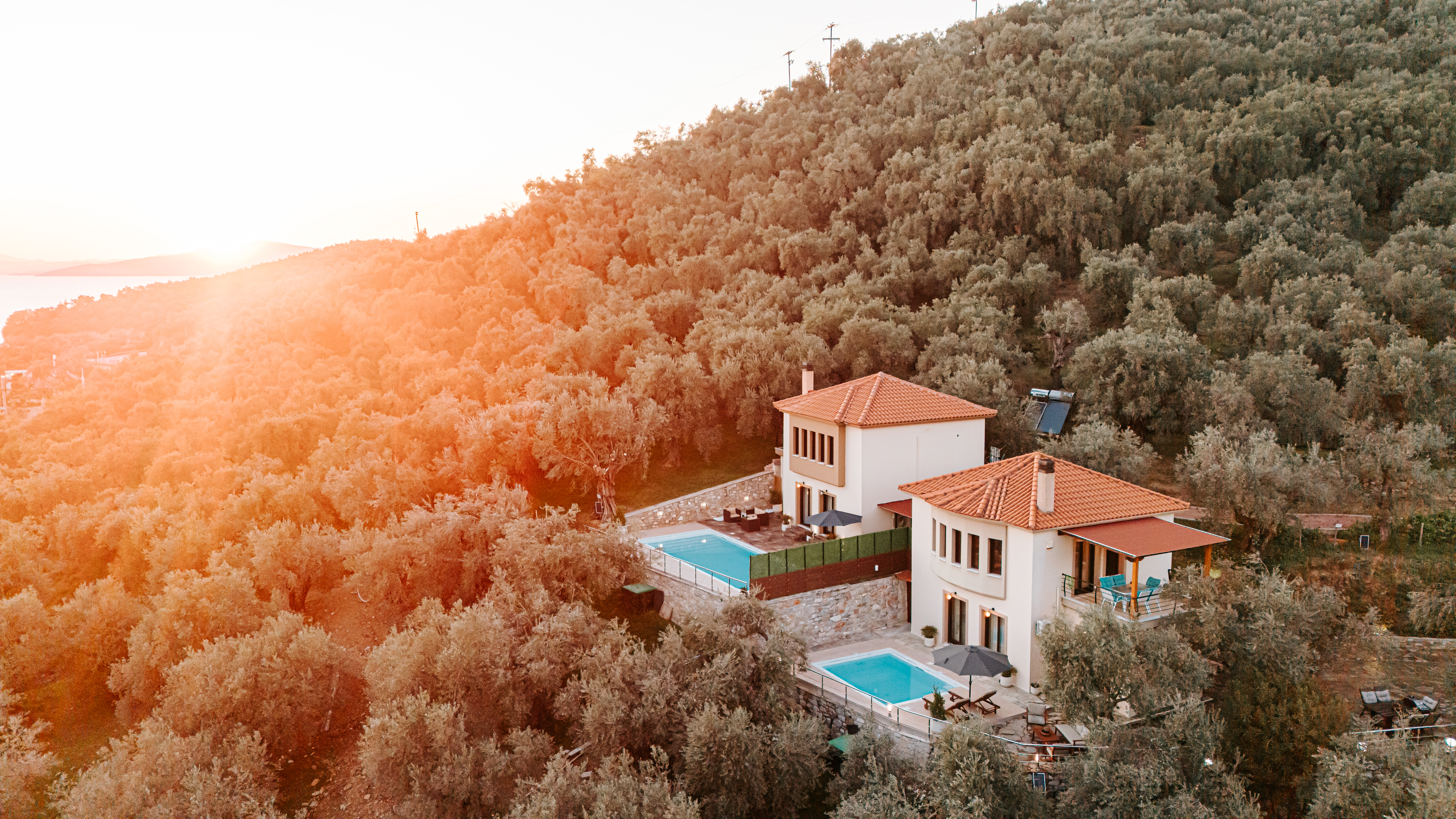 System.Collections.Generic.List`1[BluePillow.Application.SearchEngine.Dto.PhotoDto]?.ElementAt(0)?.Caption