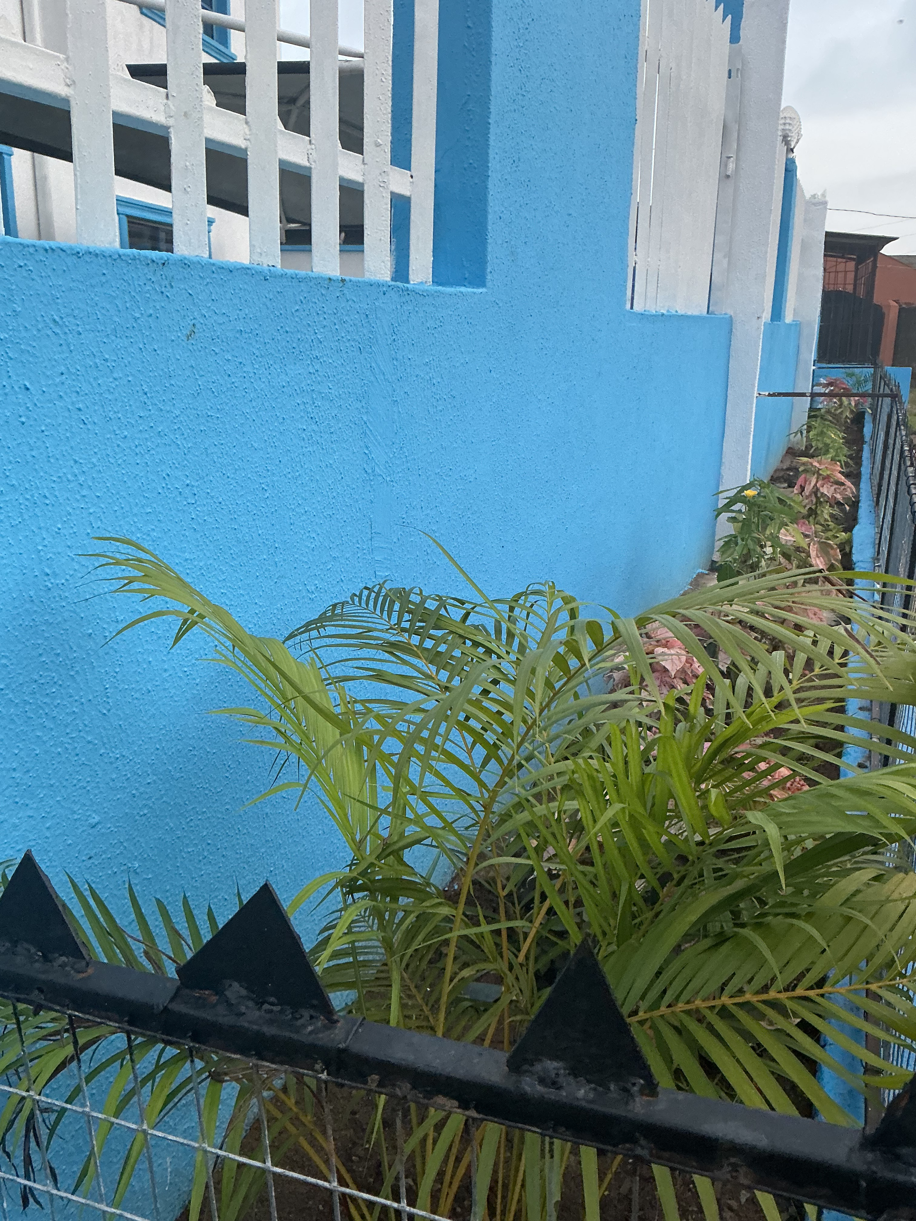 System.Collections.Generic.List`1[BluePillow.Application.SearchEngine.Dto.PhotoDto]?.ElementAt(2)?.Caption