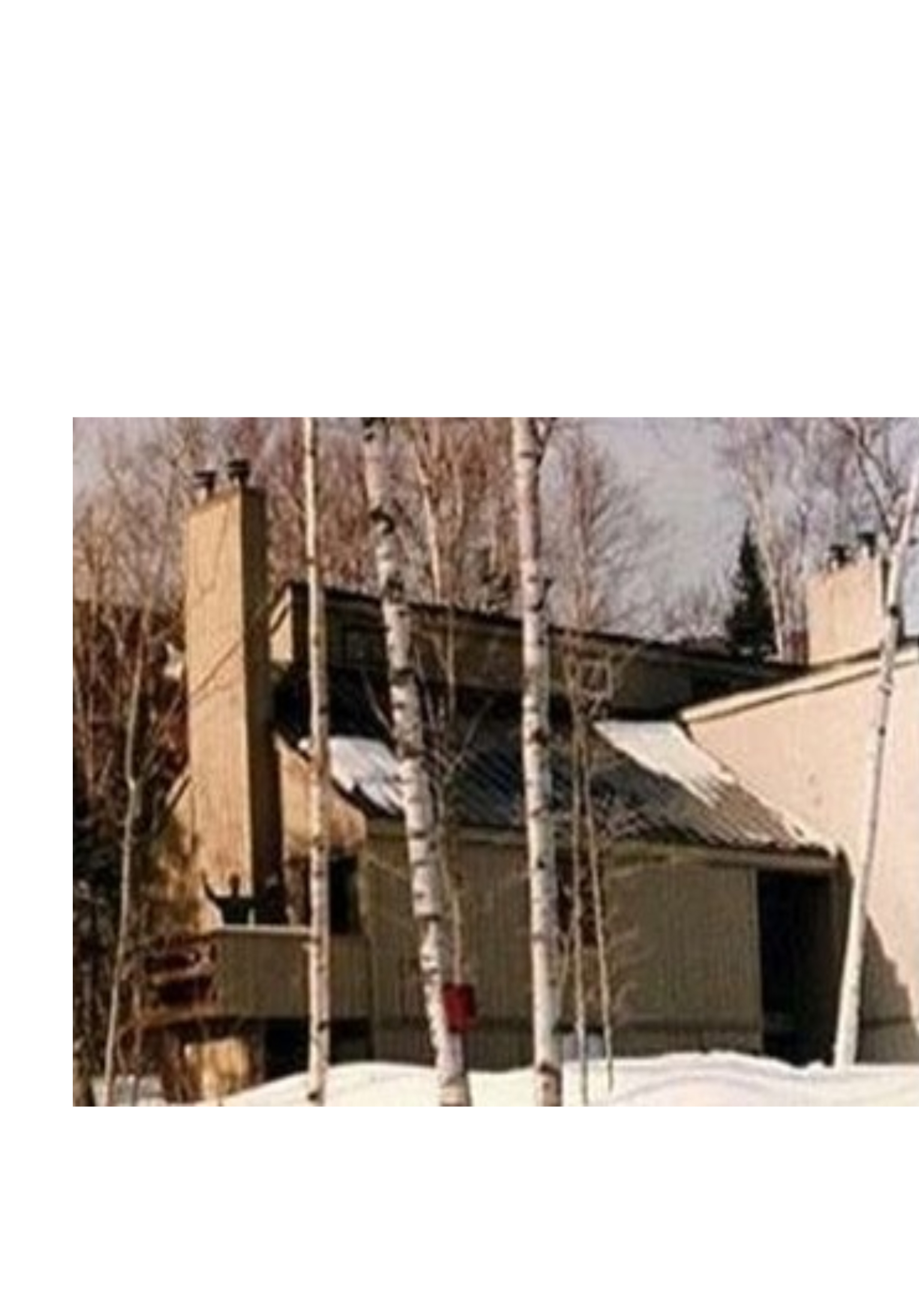 System.Collections.Generic.List`1[BluePillow.Application.SearchEngine.Dto.PhotoDto]?.ElementAt(0)?.Caption