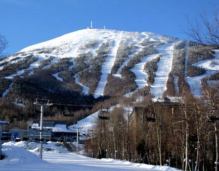 System.Collections.Generic.List`1[BluePillow.Application.SearchEngine.Dto.PhotoDto]?.ElementAt(1)?.Caption