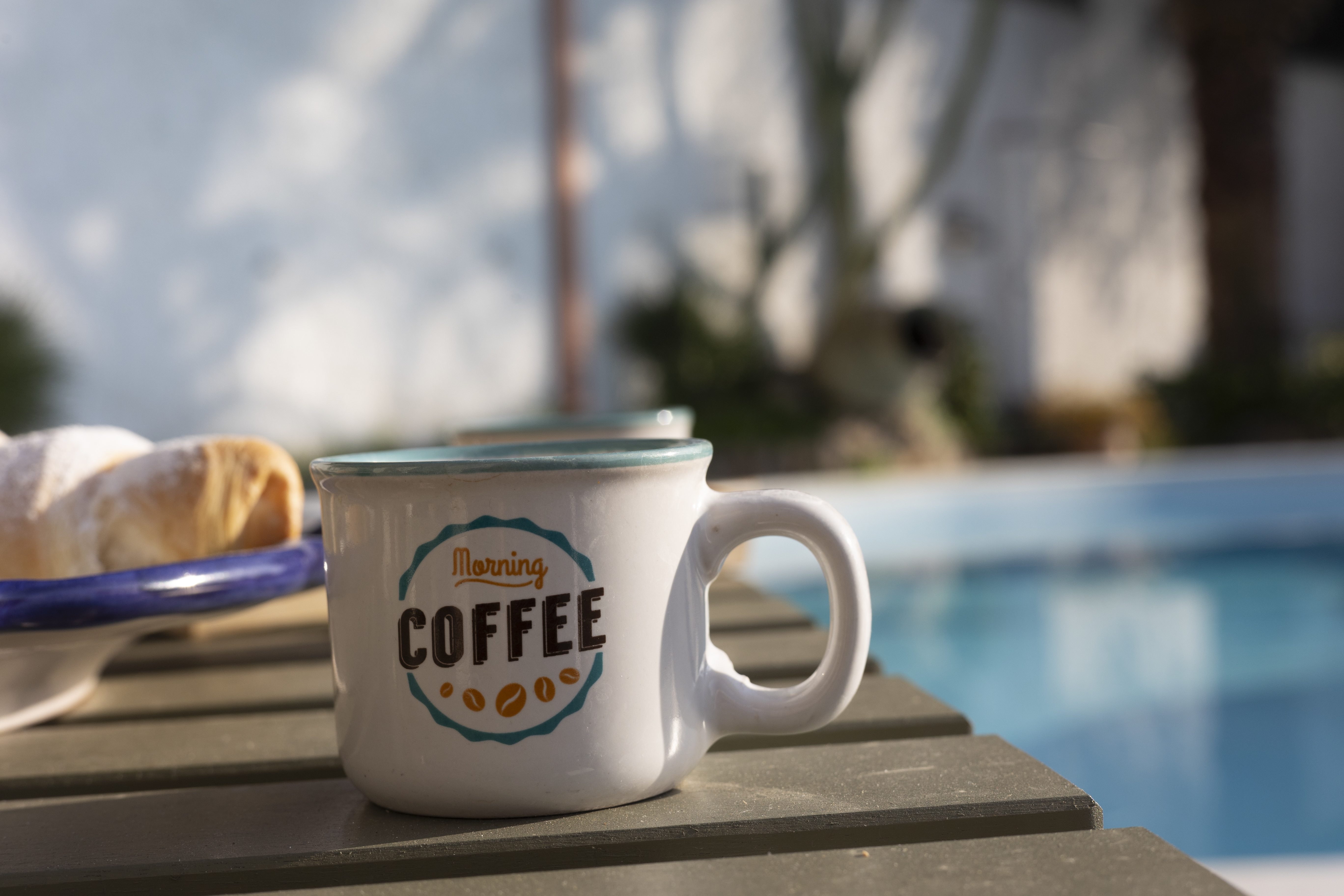 System.Collections.Generic.List`1[BluePillow.Application.SearchEngine.Dto.PhotoDto]?.ElementAt(2)?.Caption