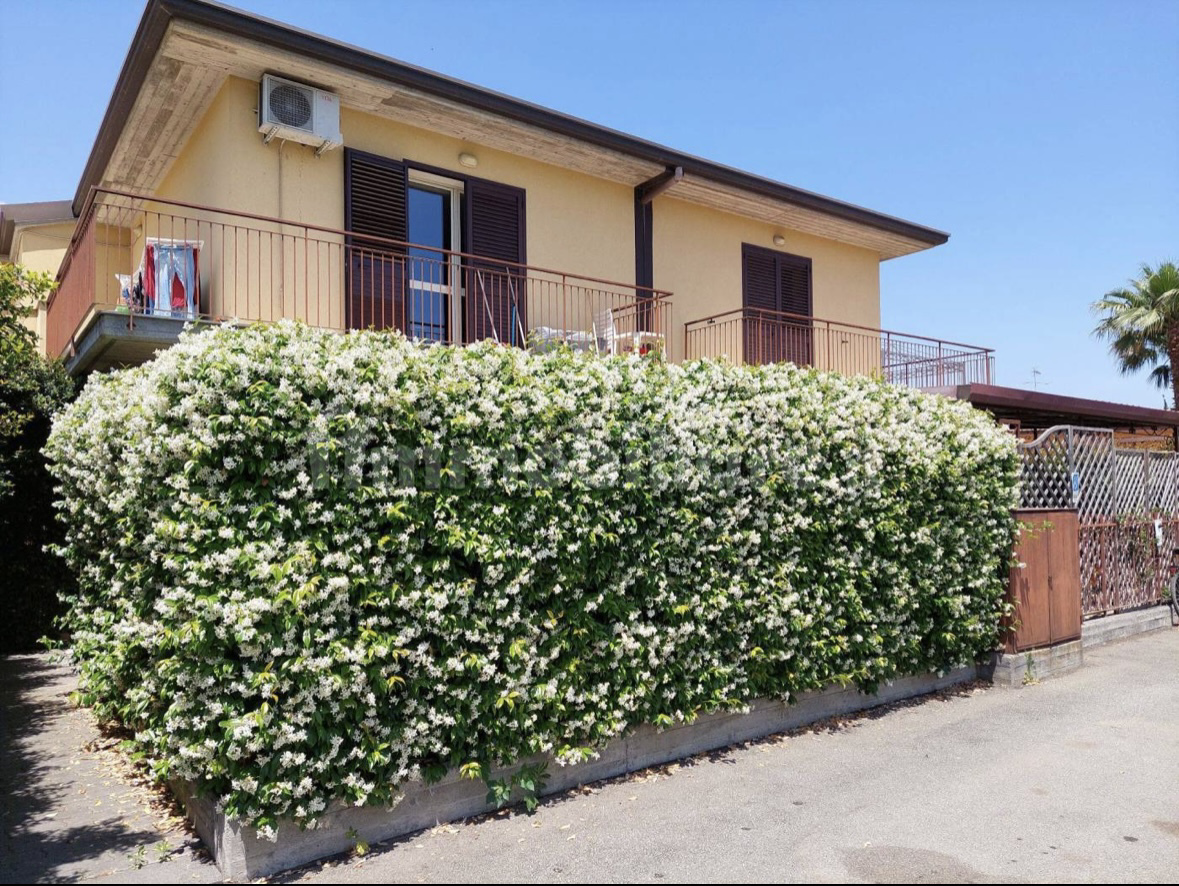 System.Collections.Generic.List`1[BluePillow.Application.SearchEngine.Dto.PhotoDto]?.ElementAt(1)?.Caption