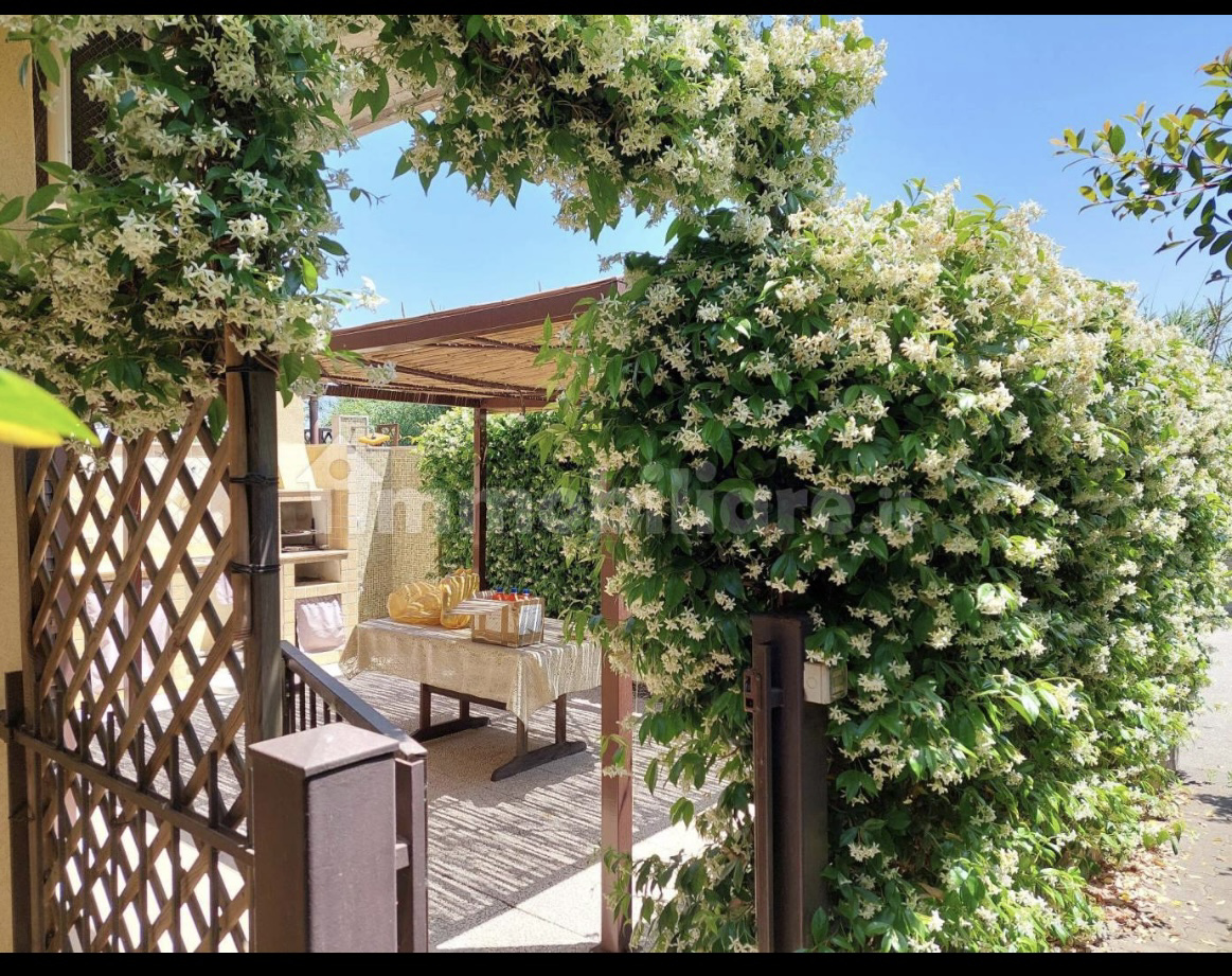 System.Collections.Generic.List`1[BluePillow.Application.SearchEngine.Dto.PhotoDto]?.ElementAt(0)?.Caption