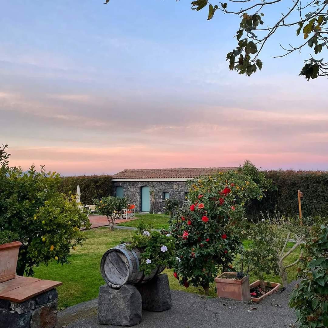 System.Collections.Generic.List`1[BluePillow.Application.SearchEngine.Dto.PhotoDto]?.ElementAt(1)?.Caption