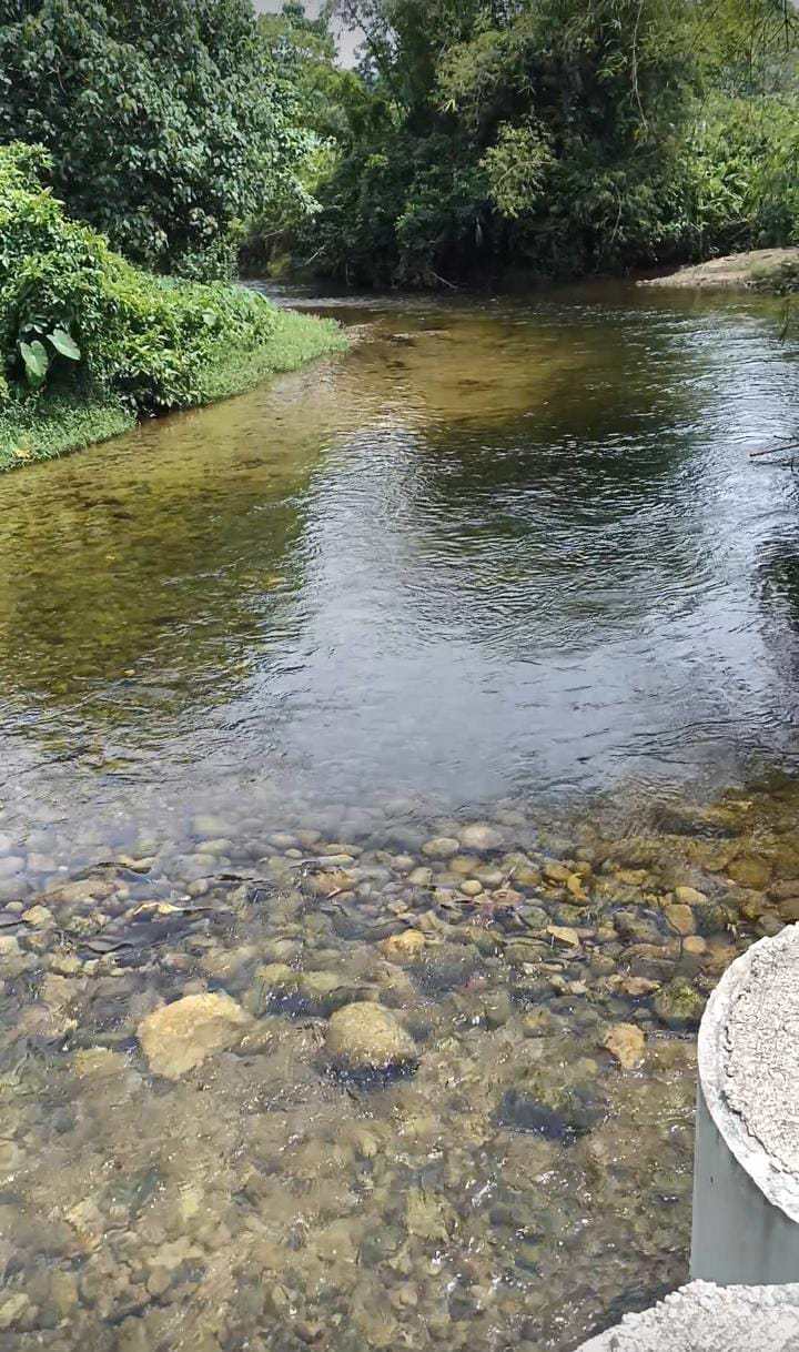 System.Collections.Generic.List`1[BluePillow.Application.SearchEngine.Dto.PhotoDto]?.ElementAt(1)?.Caption