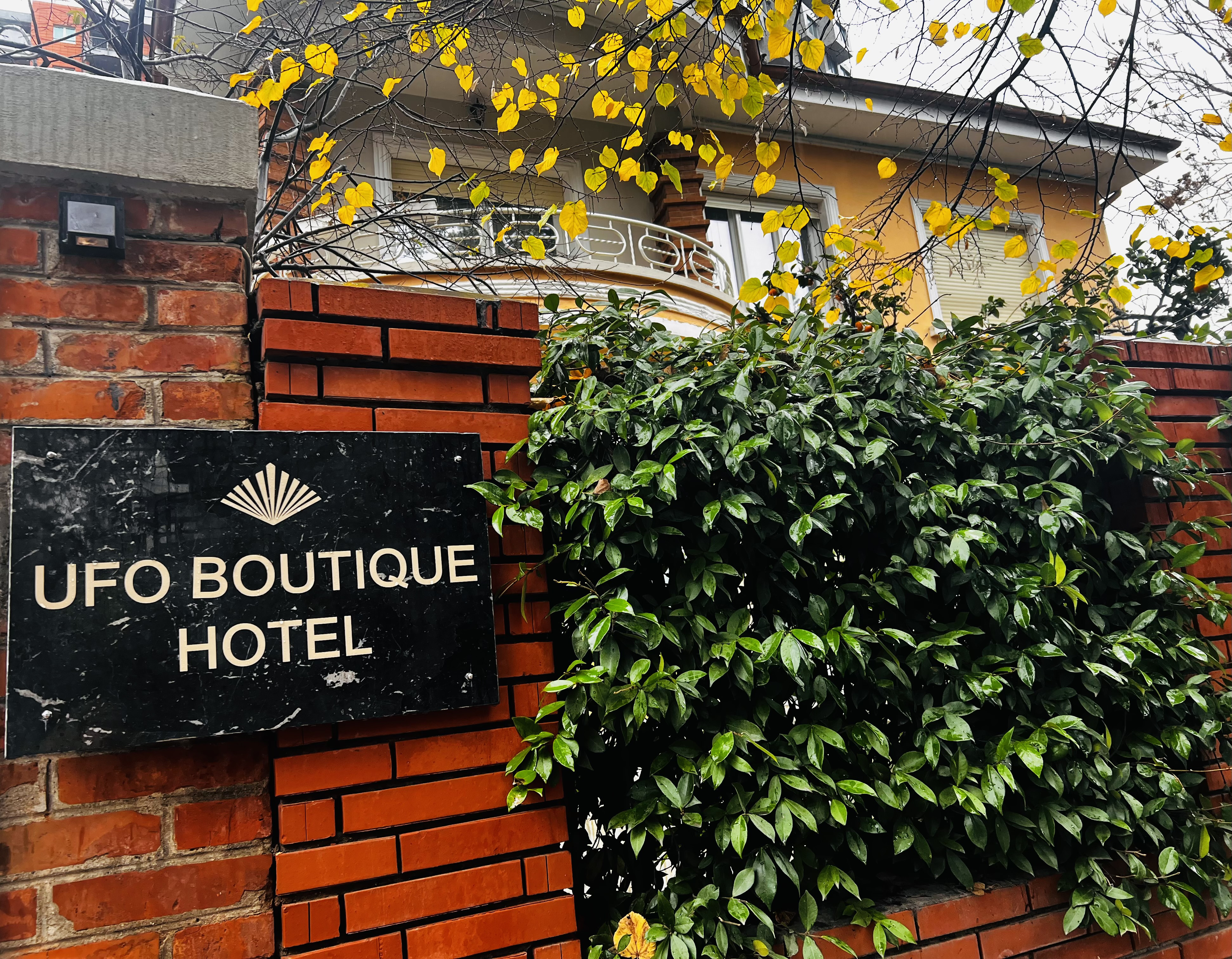 System.Collections.Generic.List`1[BluePillow.Application.SearchEngine.Dto.PhotoDto]?.ElementAt(0)?.Caption