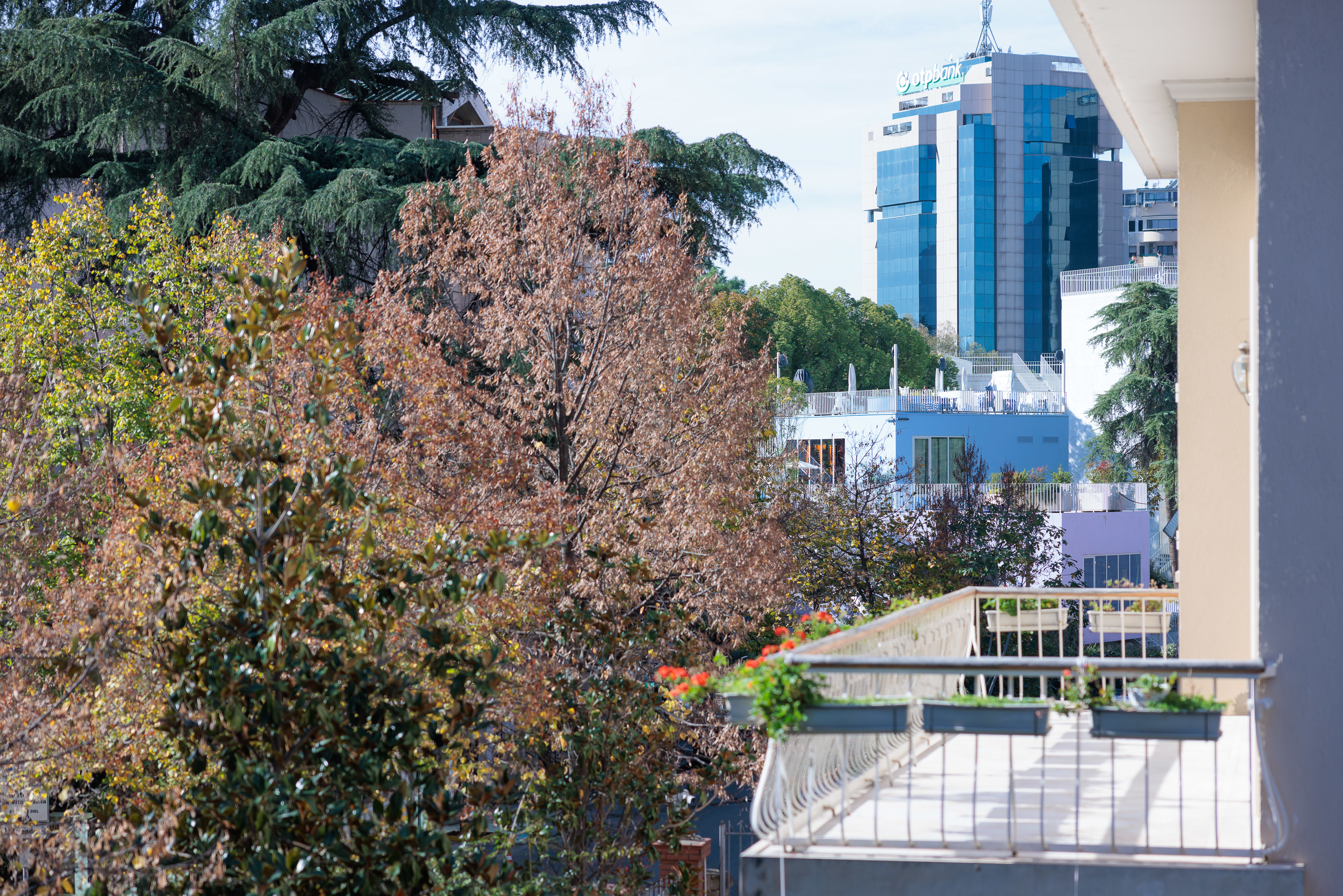 System.Collections.Generic.List`1[BluePillow.Application.SearchEngine.Dto.PhotoDto]?.ElementAt(3)?.Caption