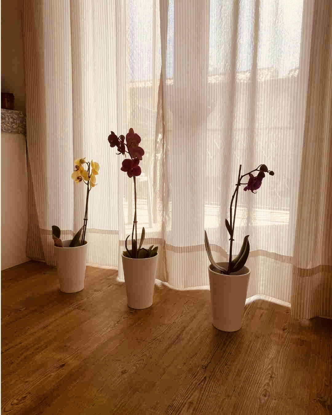 System.Collections.Generic.List`1[BluePillow.Application.SearchEngine.Dto.PhotoDto]?.ElementAt(2)?.Caption