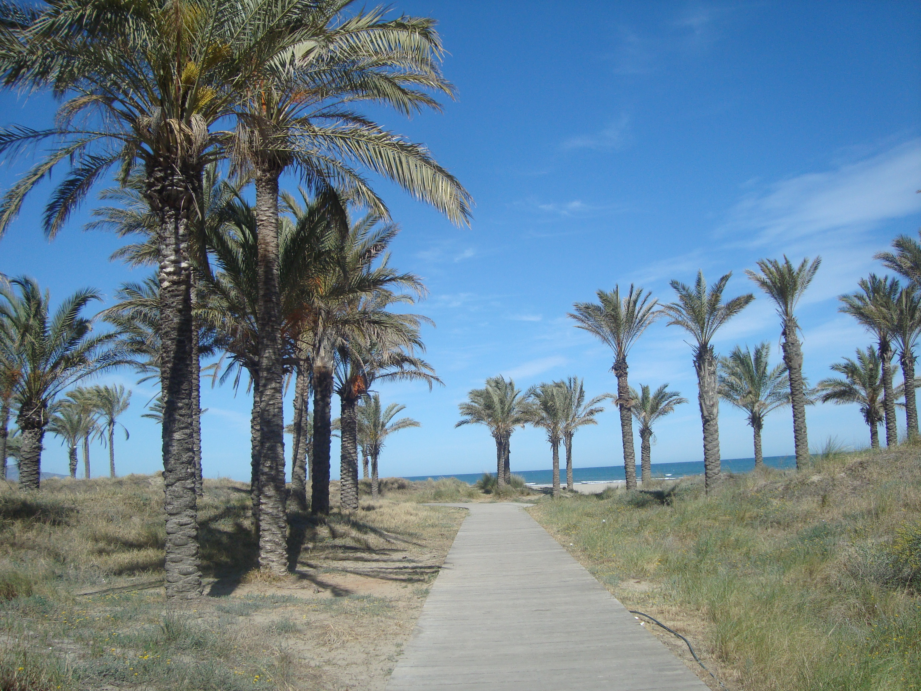 Holiday rentals Onda