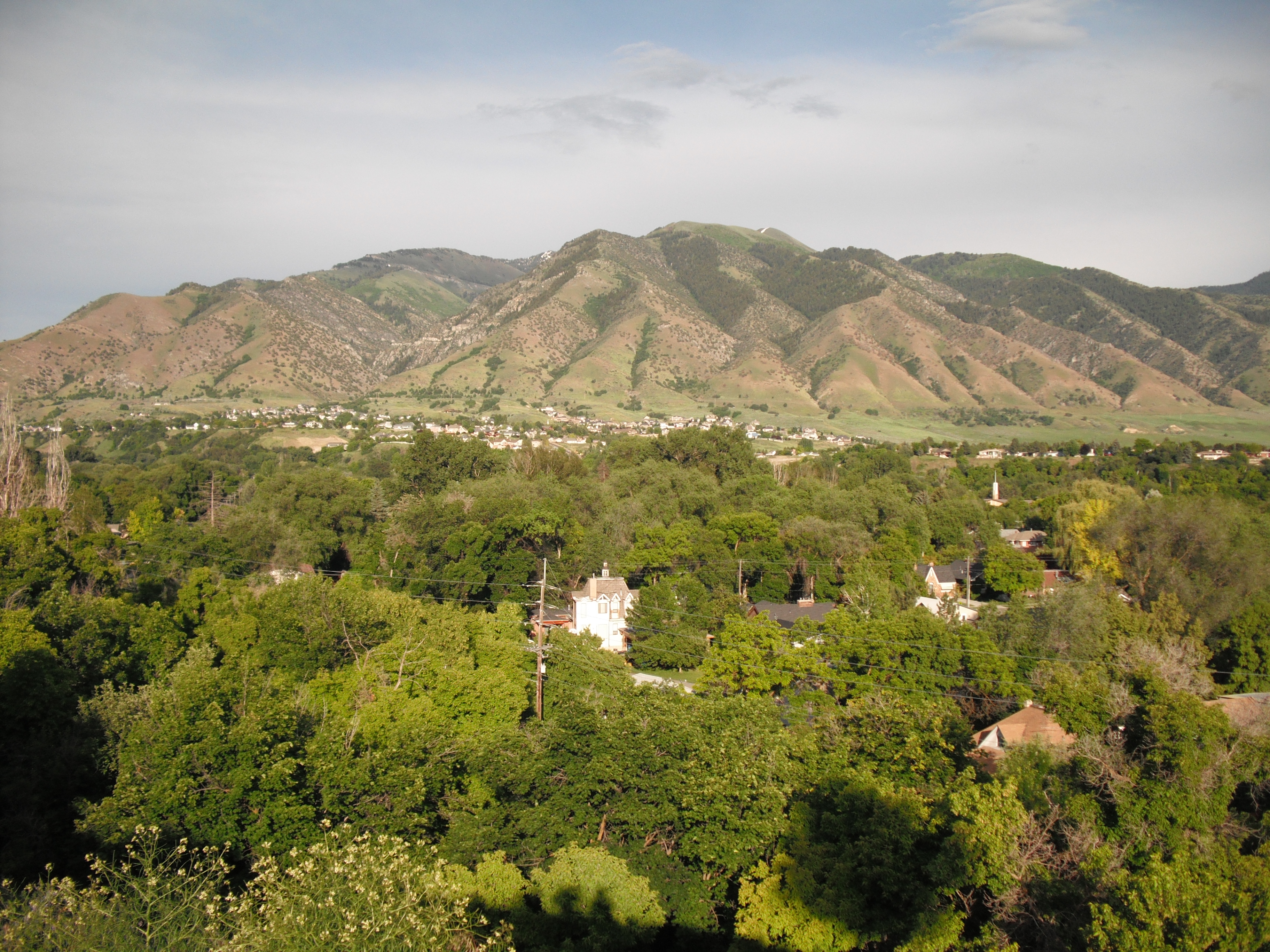 Holiday rentals Logan