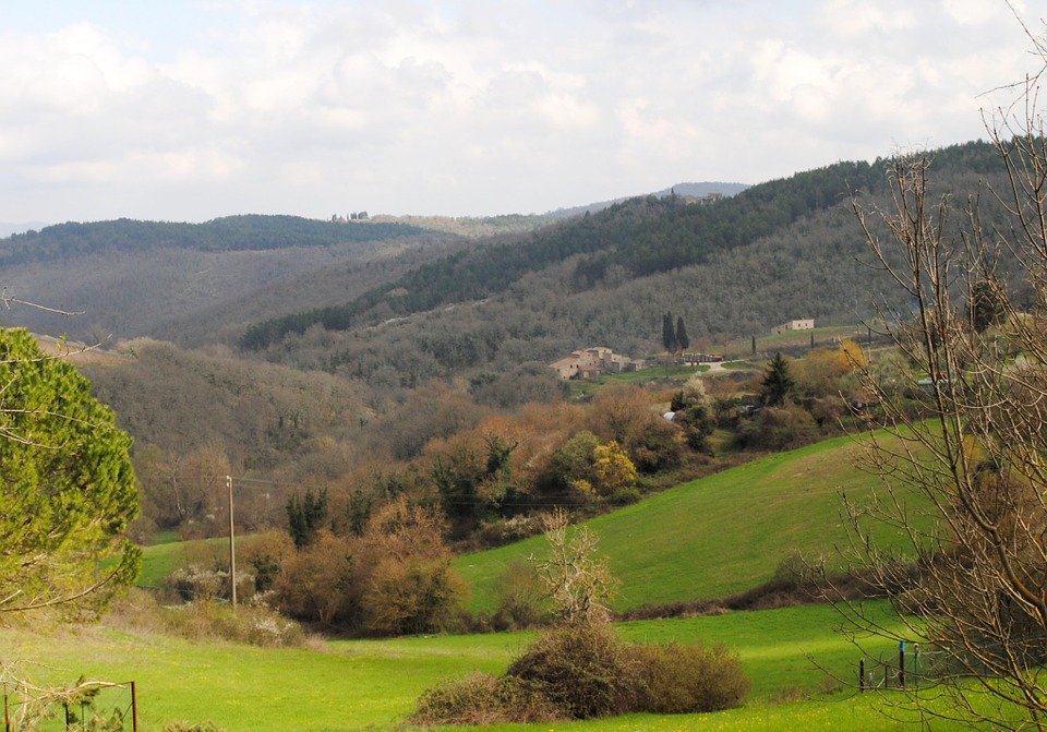 Case Vacanze Le Focette