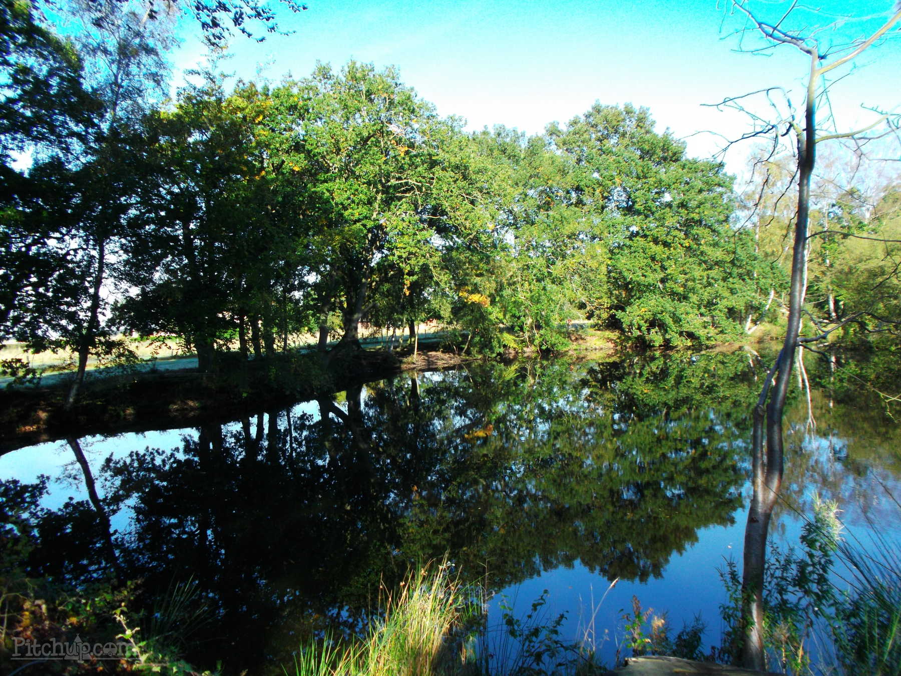 Hotels in Woodhall Spa
