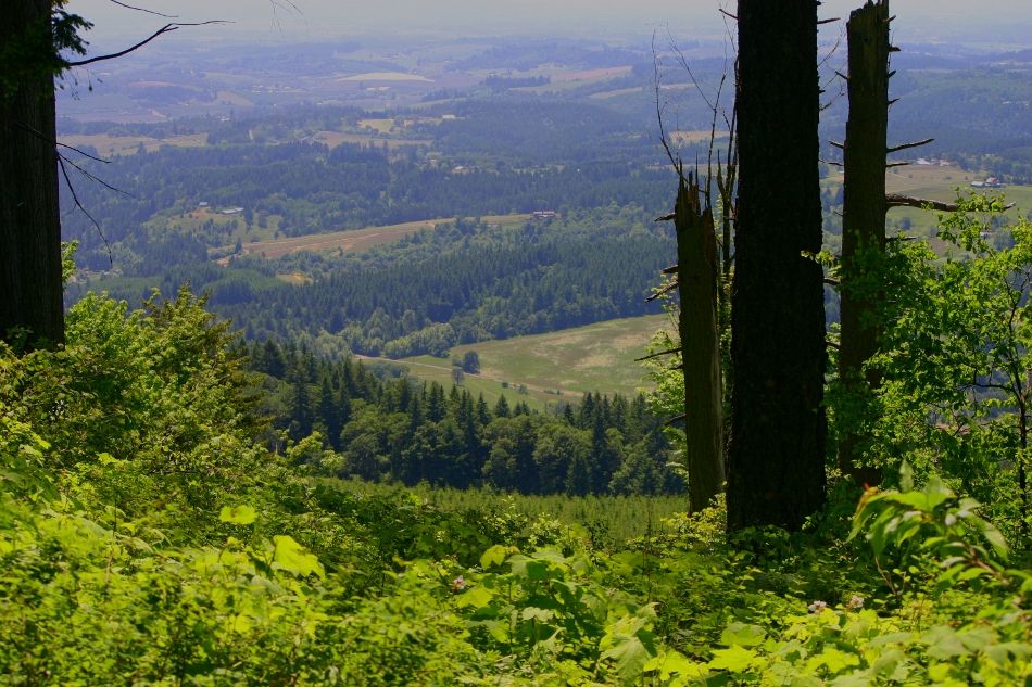 Holiday rentals Hillsboro