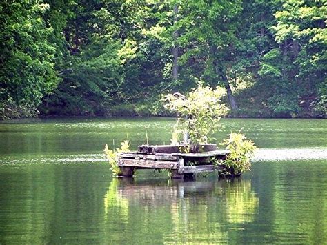 Holiday rentals Tuscaloosa