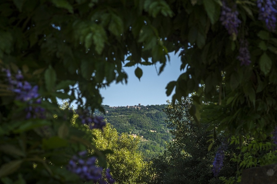 Case Vacanze Montaperti