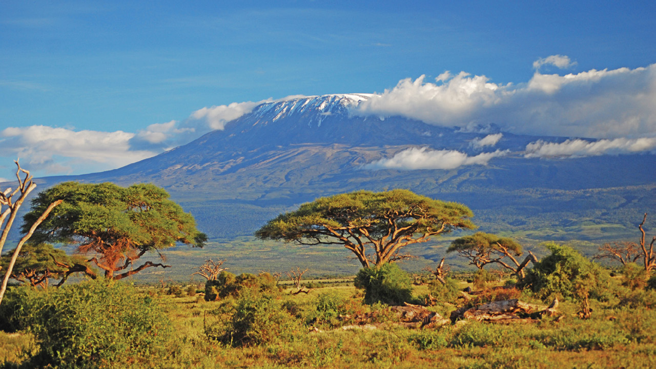 Holiday rentals Tanzania