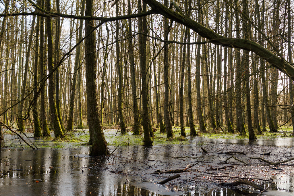 Ferienwohnungen Oldenburg