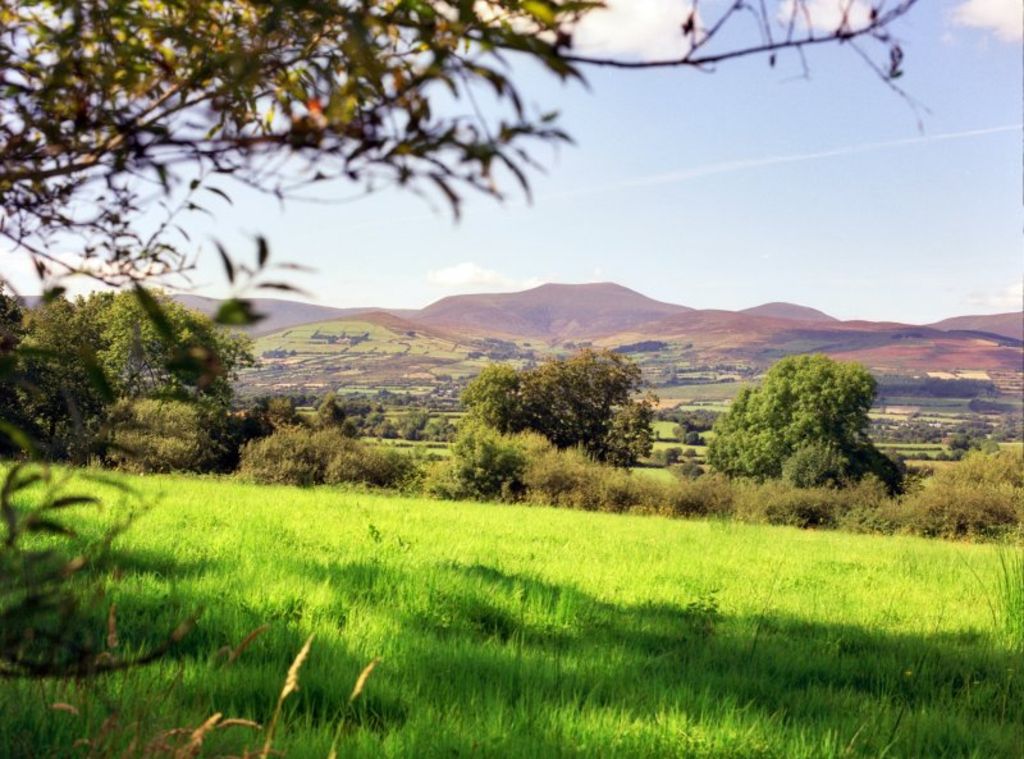 Holiday rentals Aherlow