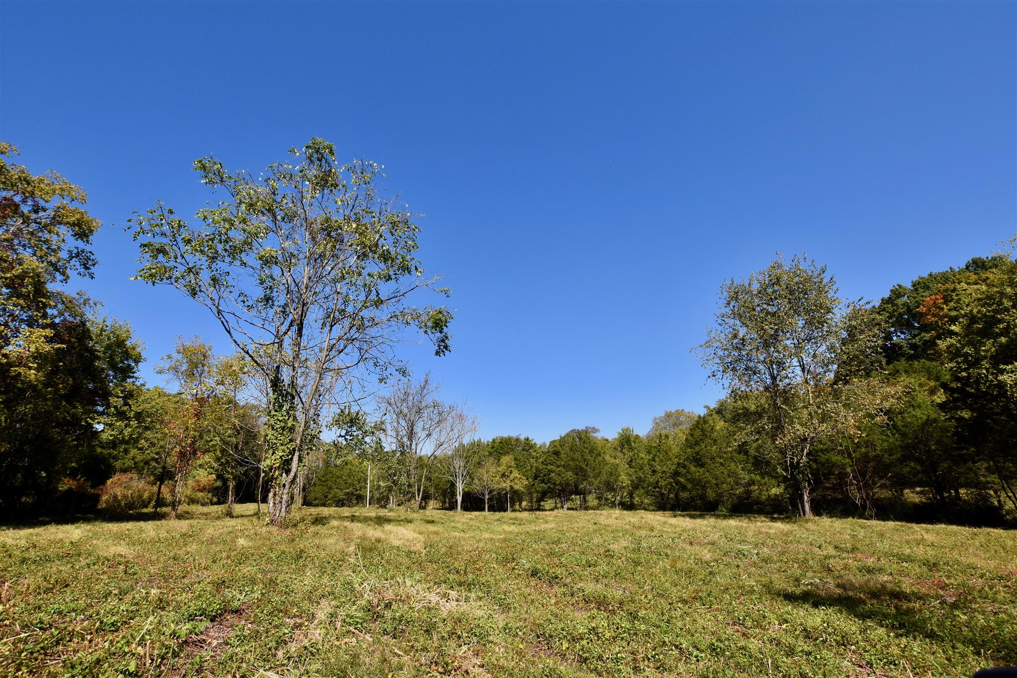 Holiday rentals Mount Juliet