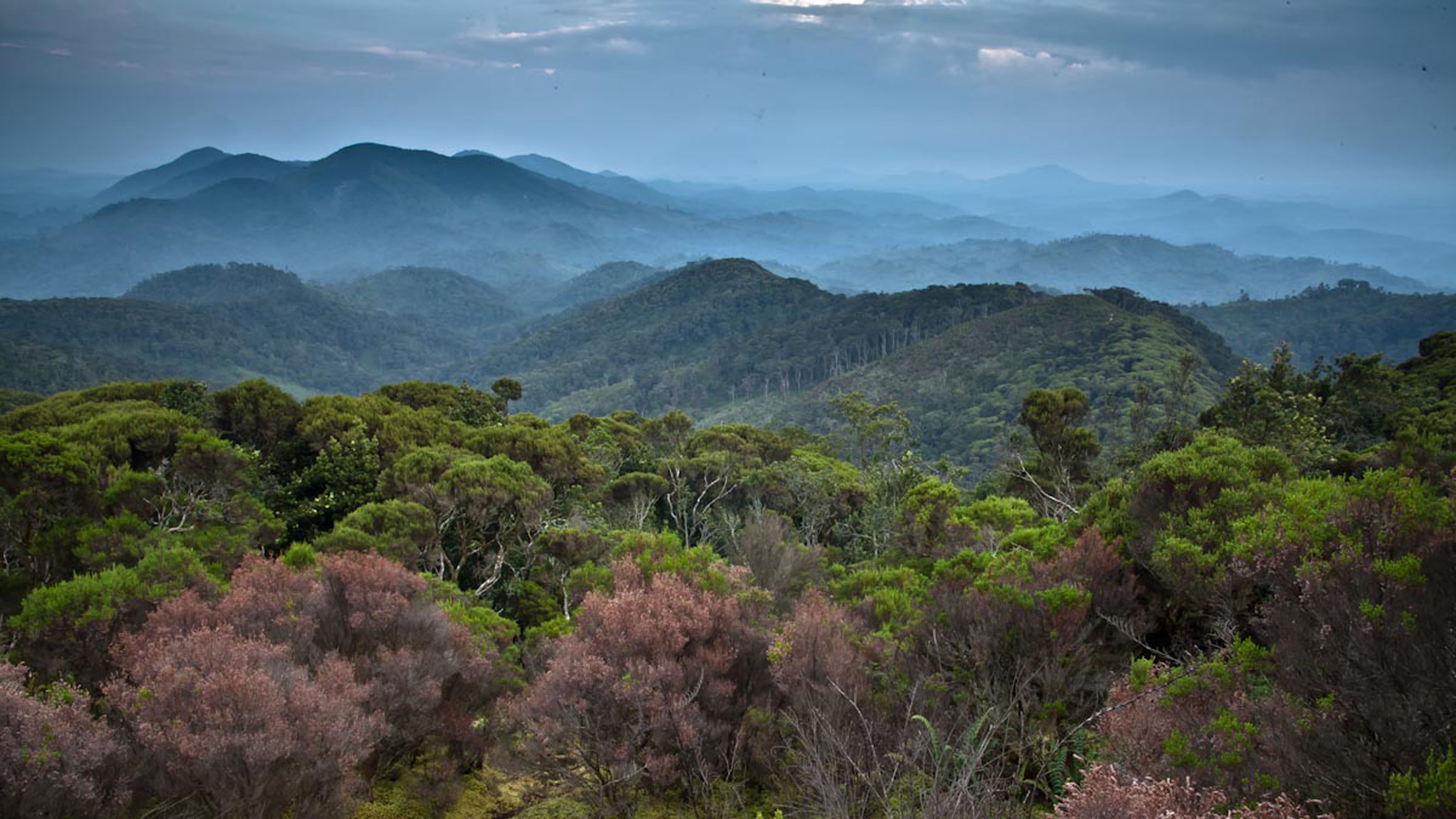 Holiday rentals Democratic Republic of Congo