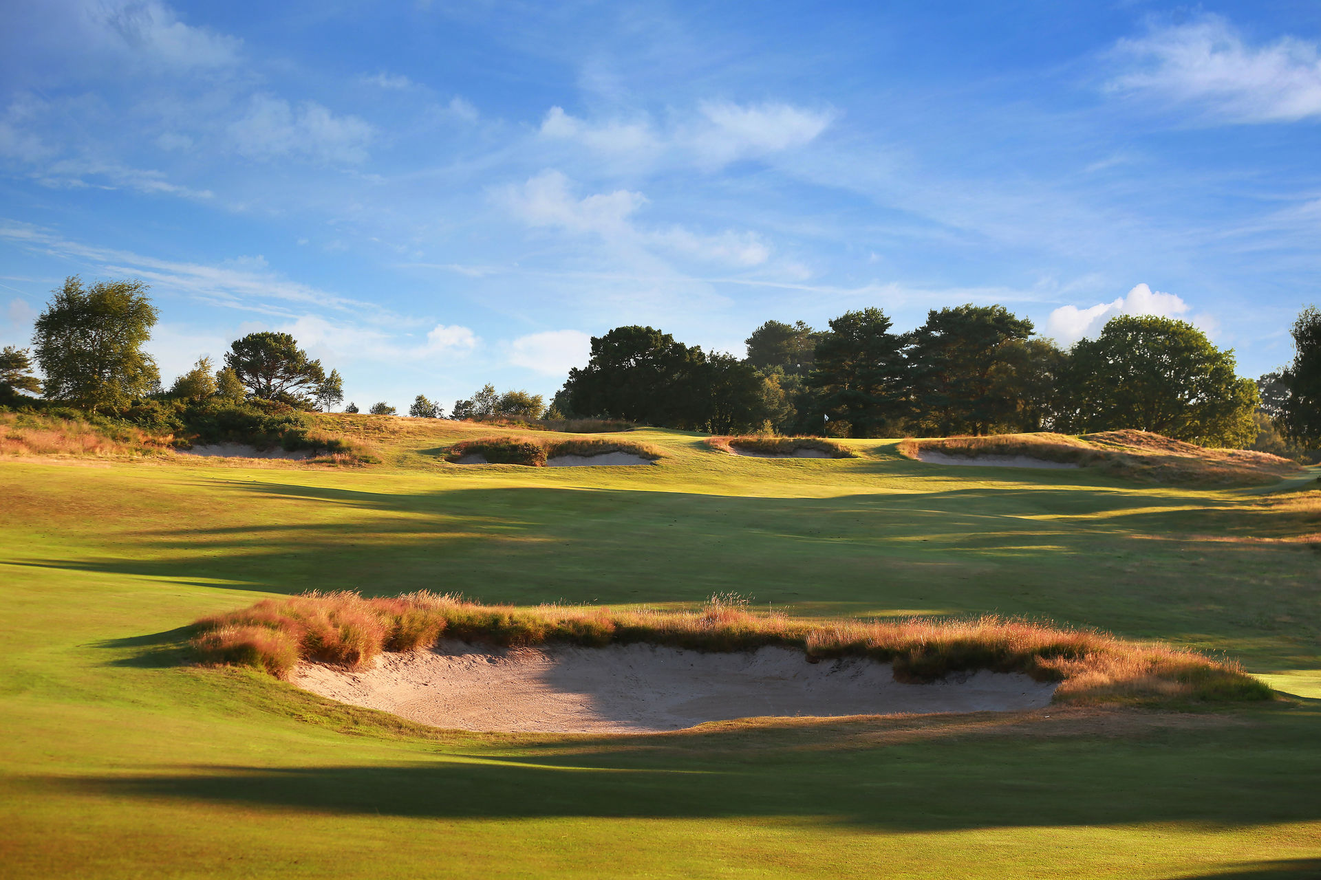 Holiday rentals Broadstone