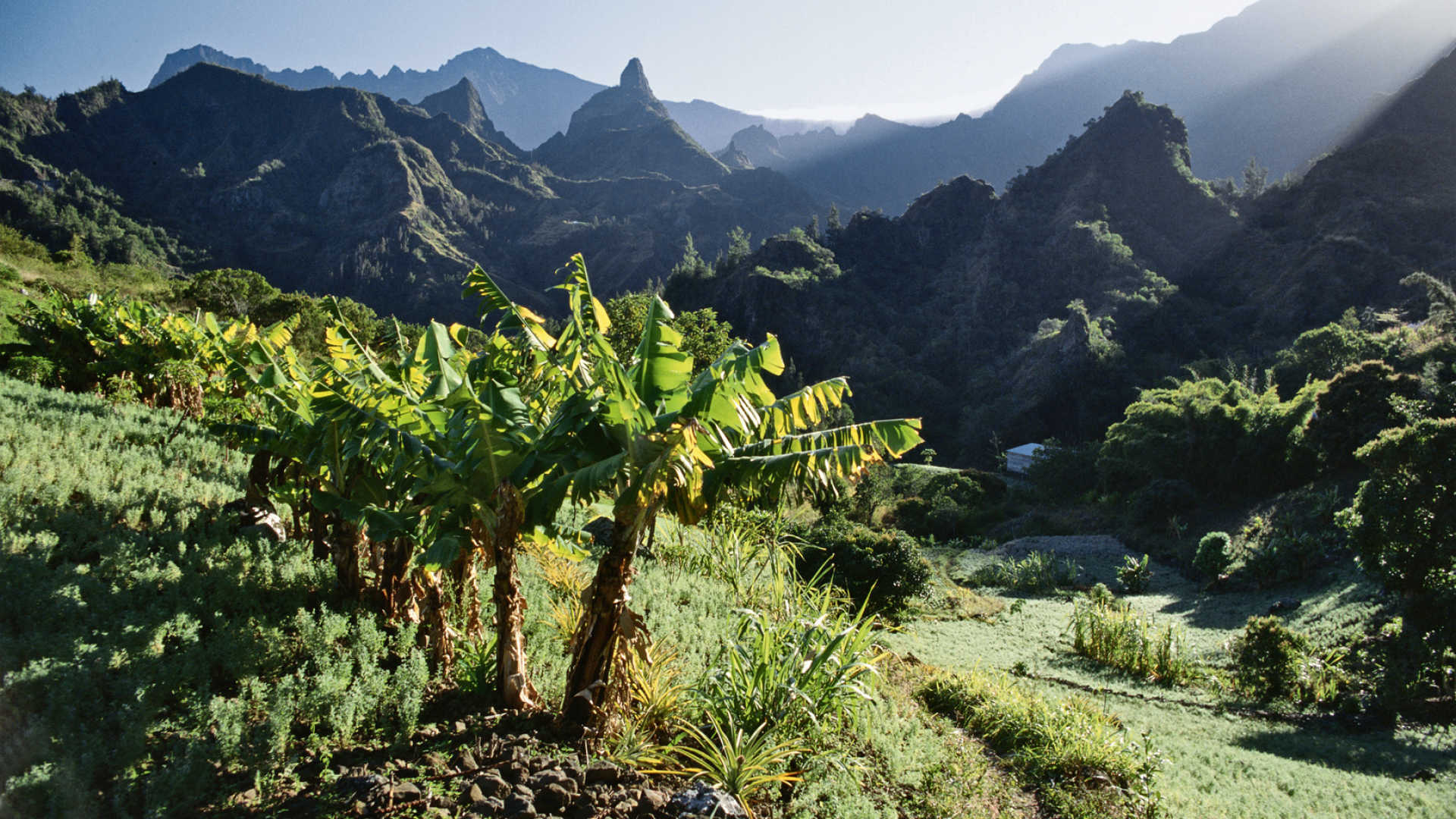 Holiday rentals Reunion