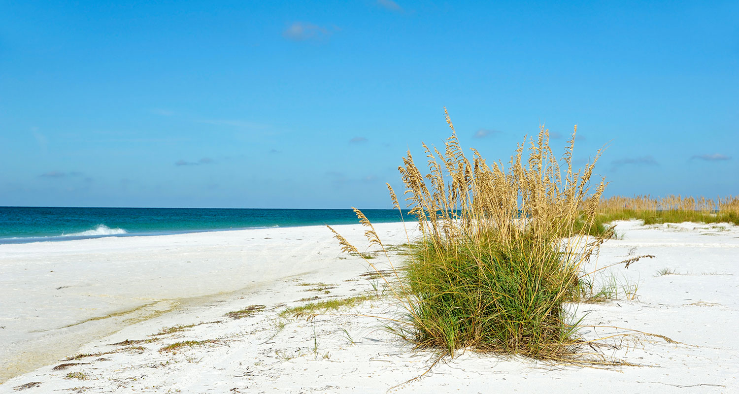 Casas de Férias Miramar