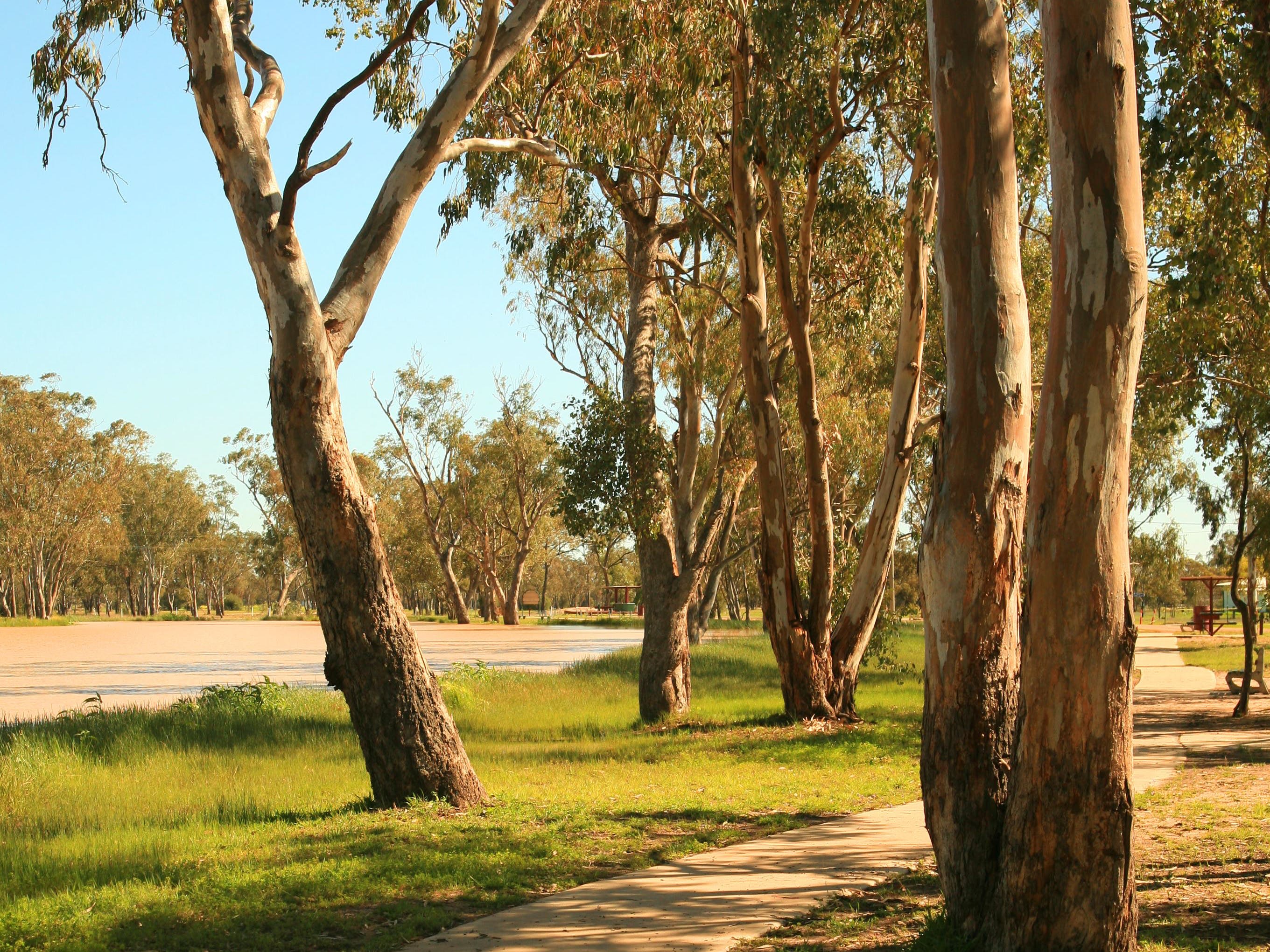 Holiday rentals Tara