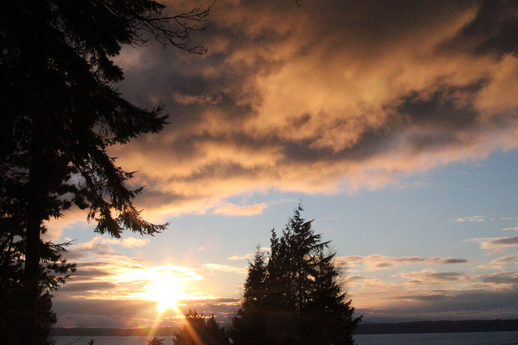 Holiday rentals Lynnwood