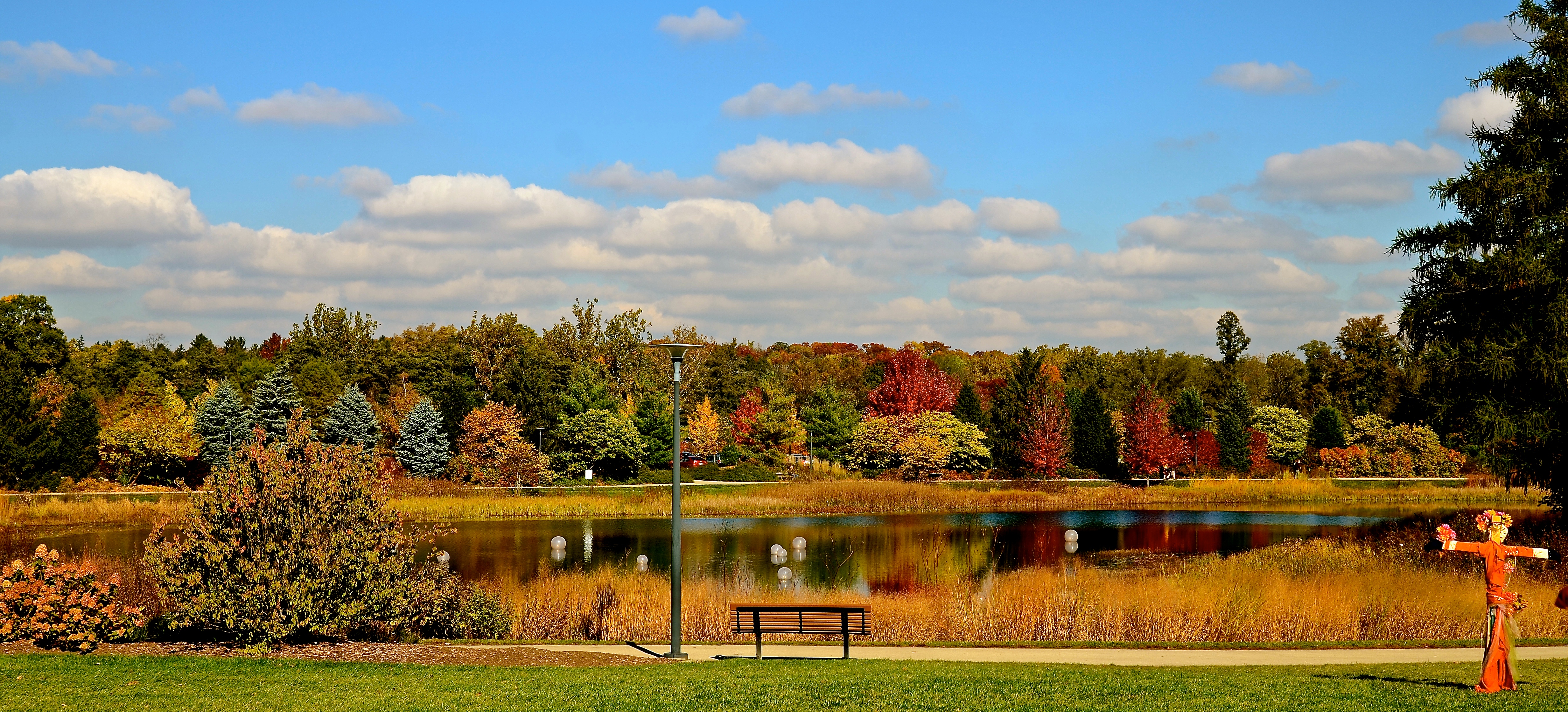Hotels in Willowbrook