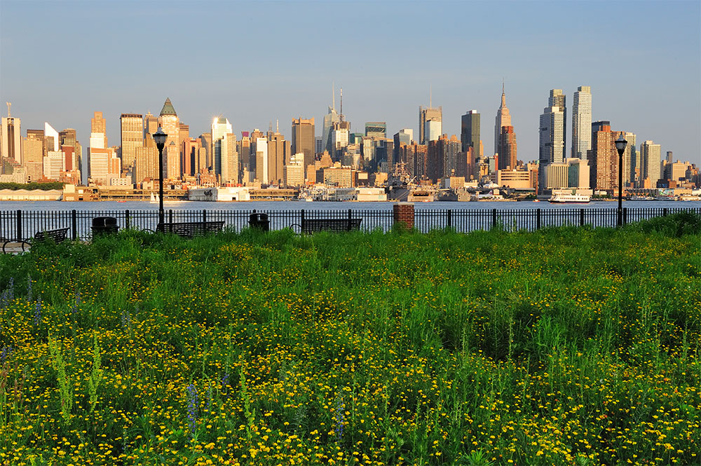 Hotels in Weehawken