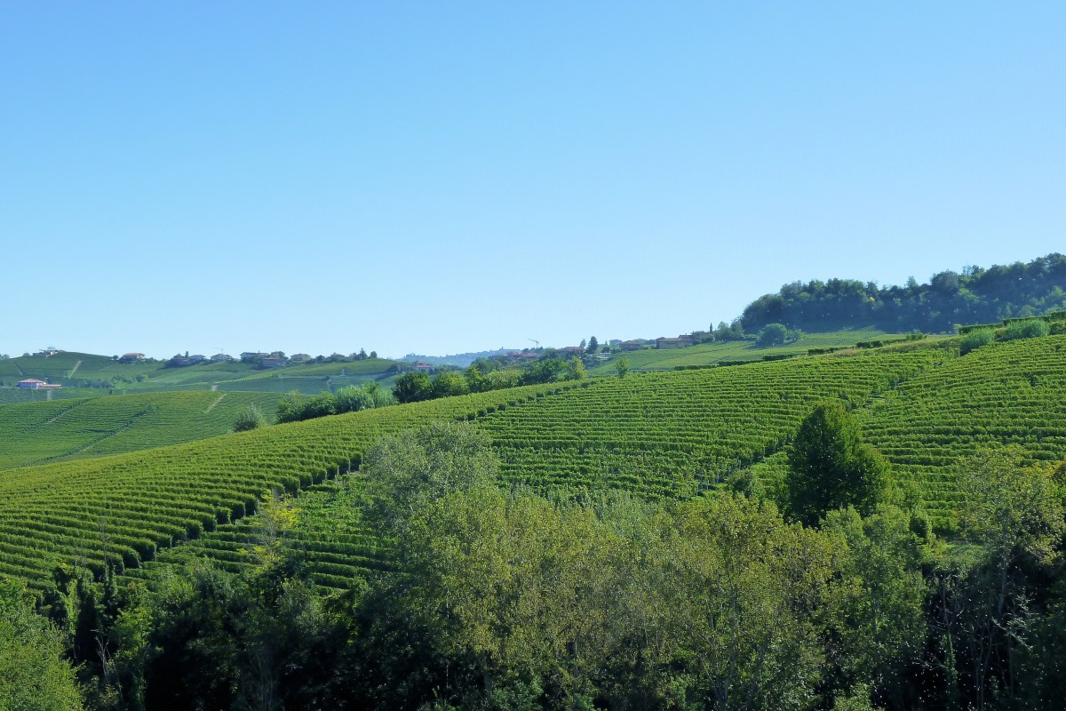 Holiday rentals Lunetta