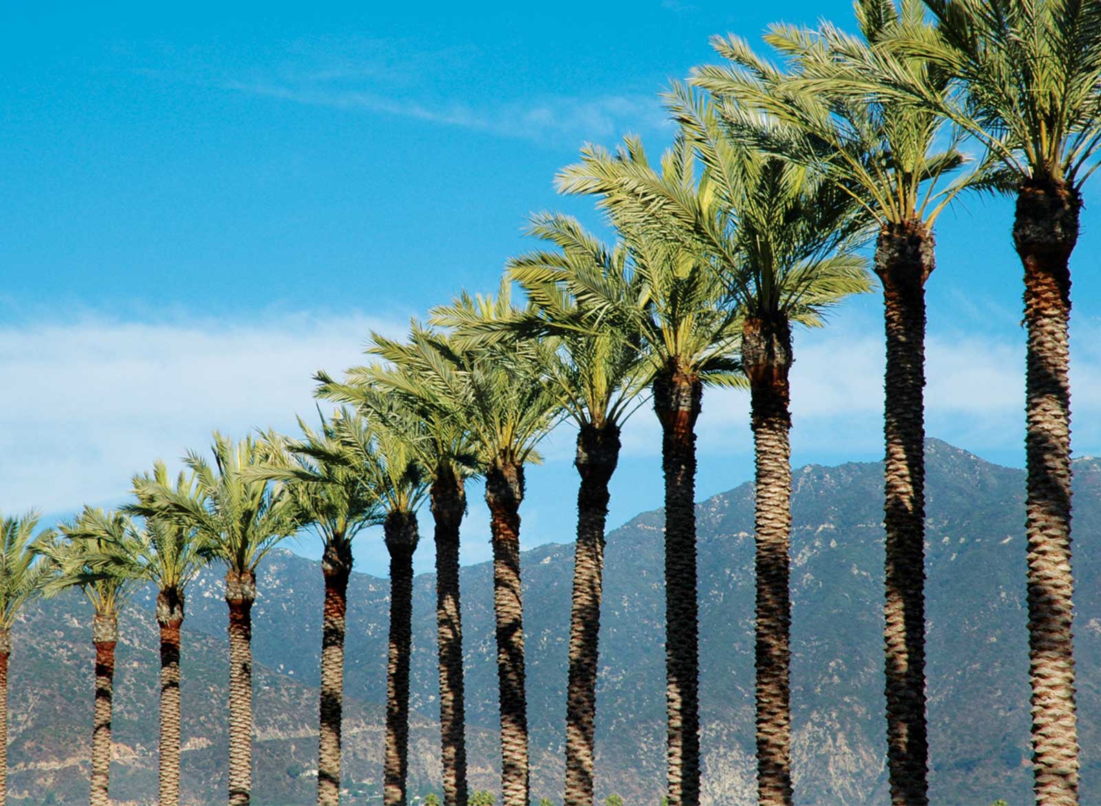 Hotels in Arcadia