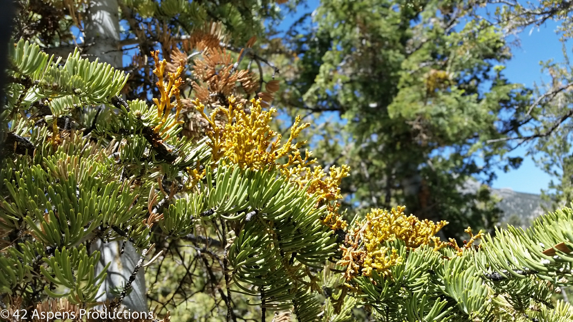 Hotels in North Loop