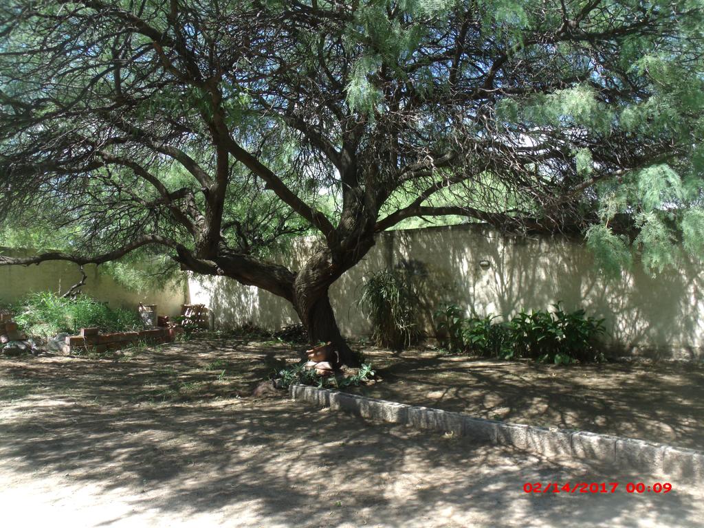 Holiday rentals Marengo