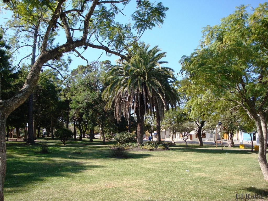 Holiday rentals San Salvador