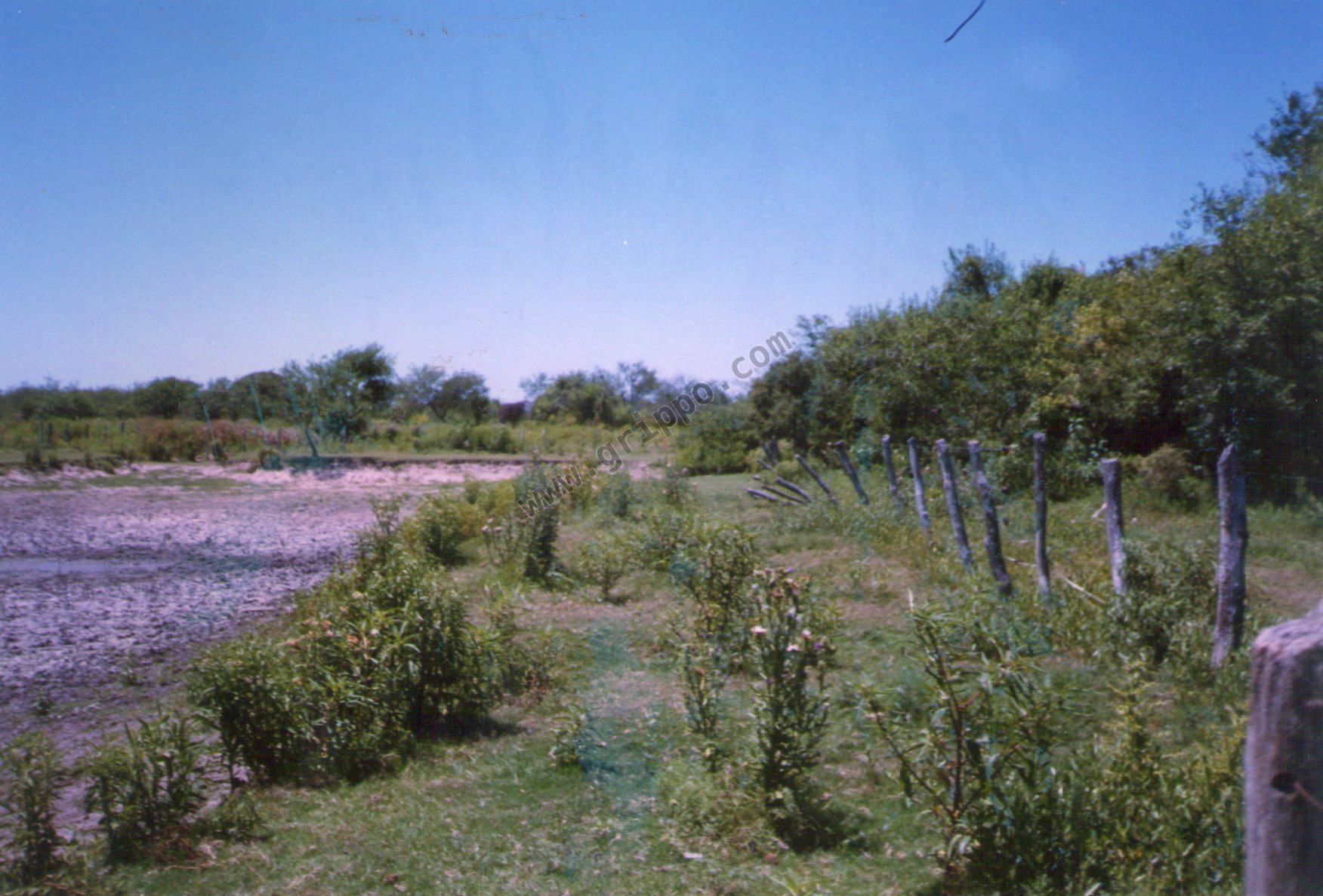 Holiday rentals Pinto
