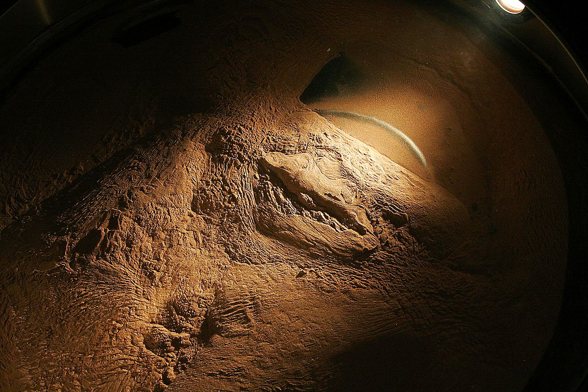 Case Vacanze Questacon