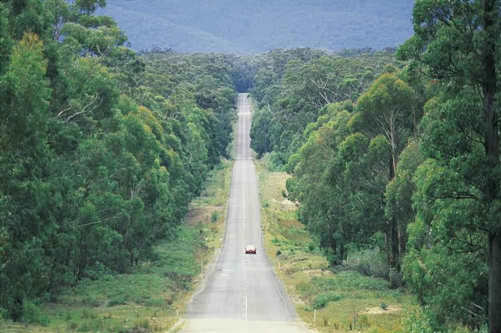 Holiday rentals The Forest