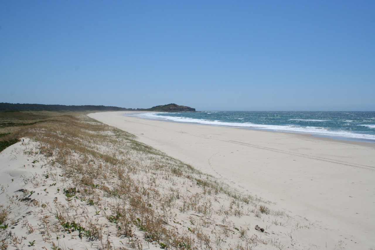 Holiday rentals Iluka