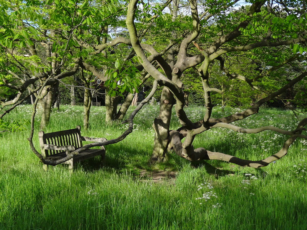 Case Vacanze Geelong Botanic Gardens