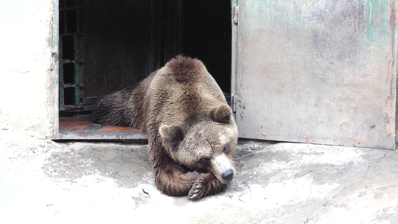 Case Vacanze Lovech Zoo