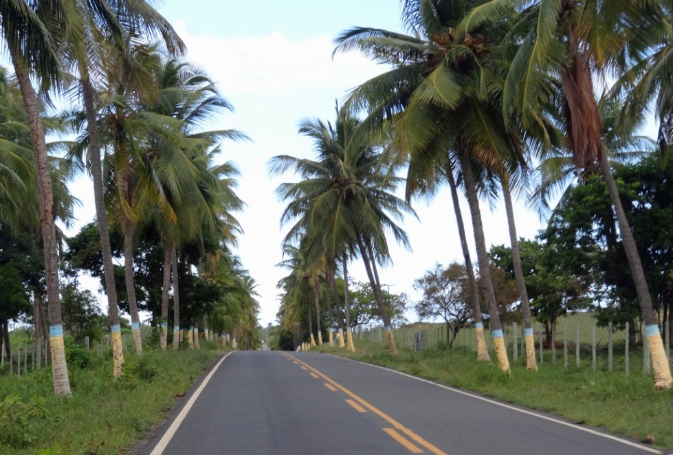 Casas de Férias Praia do Rio Verde