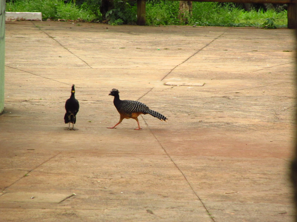 Casas de Férias Campo Grande