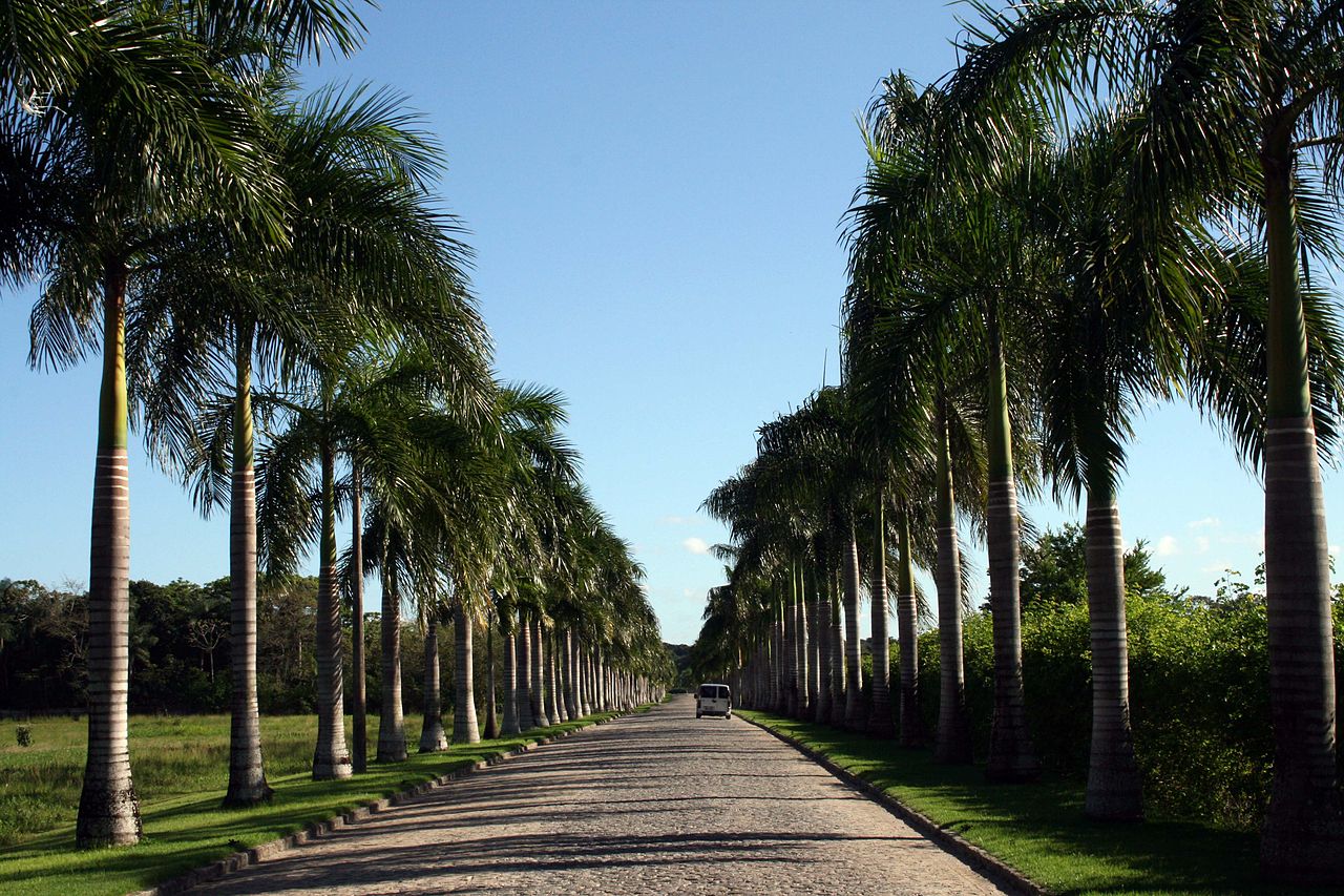 Case Vacanze Ricardo Brennand Institute
